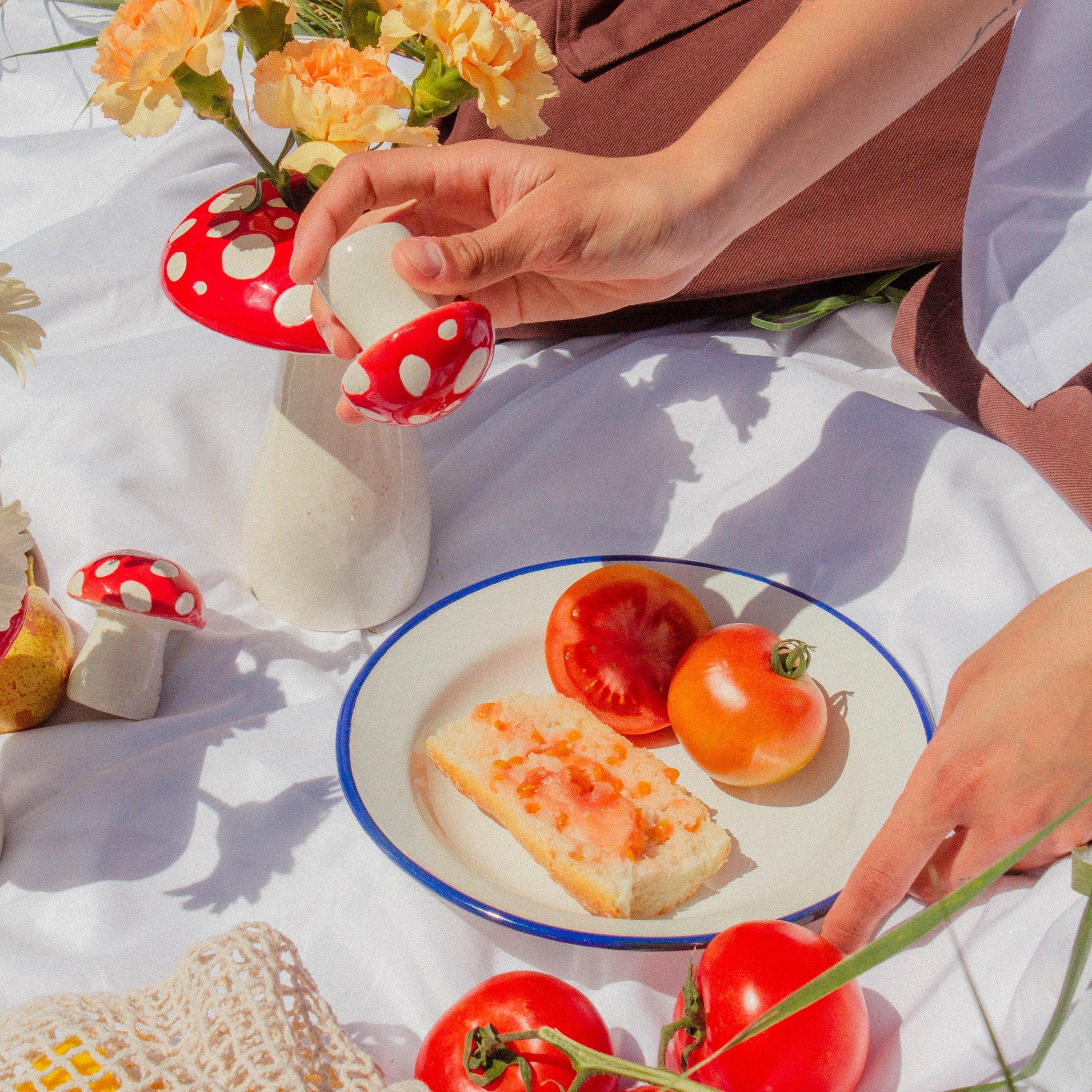 Set za so i biber, pečurka Amanita, DOIY